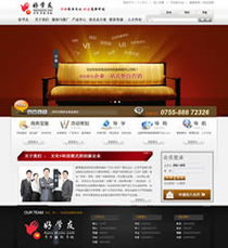 耐思尼克免費建站 深圳企業(yè)網站建設精選案例集